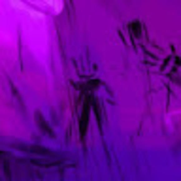 Meet your Posher, Vincent - Picture 1 of 1